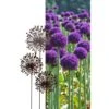 Allium Ø 30 Cm - Decoroest 2 Allium Ø 30 Cm - Decoroest -Esschert Design Verkoopwinkel 1511789124 1 600