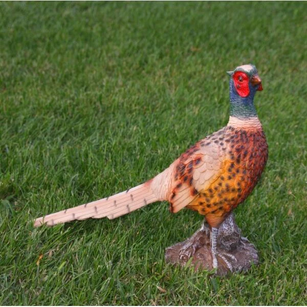 Fazant Beeld 3 Fazant Beeld