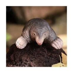 Europese Mol In Lindenhout - Handgemaakt -Esschert Design Verkoopwinkel 1611665886 3 600