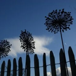 Allium Ø 30 Cm - Decoroest -Esschert Design Verkoopwinkel allium 30 cm decoroest 1512145830 2 600