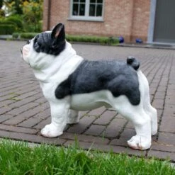 Franse Bulldog Tuinbeeld -Esschert Design Verkoopwinkel franse buldog 1569493561 2 600