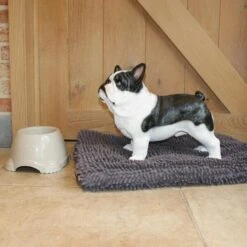 Franse Bulldog Tuinbeeld -Esschert Design Verkoopwinkel franse buldog 1569511065 1 600