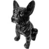 Franse Bulldog Zwart - H 37 Cm -Esschert Design Verkoopwinkel franse bulldog zwart h 37 cm 1596615982 1 600