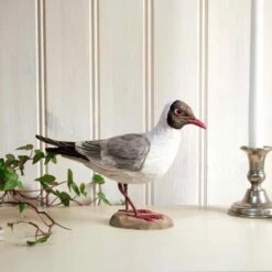 Houten Vogel - Kokmeeuw