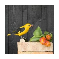 Houten Vogel - Wielewaal -Esschert Design Verkoopwinkel houten wielewaal 1626081624 3 600