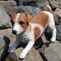 Speelse Jack Russel Levensecht Tuinbeeld -Esschert Design Verkoopwinkel jack russel speels levensecht 1531395381 3 600