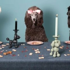 Kandelaar Fatboy® Can-Dolly - Design Antraciet -Esschert Design Verkoopwinkel kandelaar fatboy candolly antraciet 1622464523 2 600