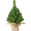 Kerstboom Kunststof Norton Groen - H60 × Ø23 Cm 2 Kerstboom Kunststof Norton Groen - H60 × Ø23 Cm -Esschert Design Verkoopwinkel kerstboom kunststof norton groen 60x23 cm 1601026068 1 600