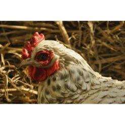 Zittende Kip WIT - Levensecht -Esschert Design Verkoopwinkel kip wit levensecht 1484055466 2 600