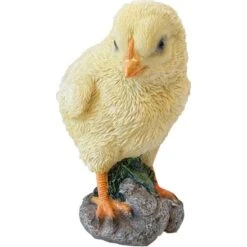 Kuikentje - Levensecht