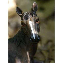 Liggend Paard Met Veulen - Levensecht -Esschert Design Verkoopwinkel liggend paard met veulen levensecht 1484061235 3 600