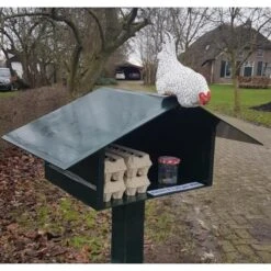 Nieuwsgierige Kip Tuinbeeld -Esschert Design Verkoopwinkel nieuwsgierige kip 1609930328 1 600