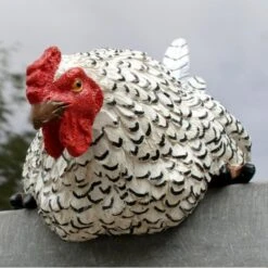 Nieuwsgierige Kip Tuinbeeld -Esschert Design Verkoopwinkel nieuwsgierige tafelkip 1568377839 2 600