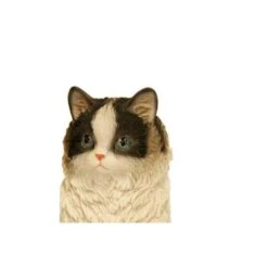 Prachtig Katje - Beeld -Esschert Design Verkoopwinkel perzische kat levensecht 1484056610 2 600