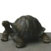 Reuzenschildpad - Miniatuur 2 Reuzenschildpad - Miniatuur -Esschert Design Verkoopwinkel schildpad natuurgetrouw 1484055488 1 600