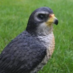 Valk Tuinbeeld 26 Cm -Esschert Design Verkoopwinkel valk tuinbeeld 1569494205 3 600