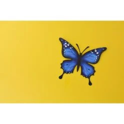 Vlinder Muurdecoratie - Metaal 30 × 25 Cm 11 Vlinder Muurdecoratie - Metaal 30 × 25 Cm -Esschert Design Verkoopwinkel vlinder metaal 30 x 25 cm 1621335409 1 600