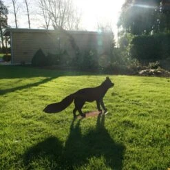 Vos Staand - Decoroest -Esschert Design Verkoopwinkel vos staand decoroest 1510257973 1 600