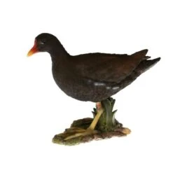 Waterhoen Tuinbeeld -Esschert Design Verkoopwinkel waterhoen tuinbeeld 1484063474 1 600