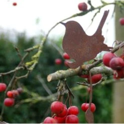 Winterkoninkje Zittend Decoroest -Esschert Design Verkoopwinkel winterkoninkje zittend decoroest 1516114735 2 600